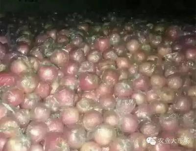 大農(nóng)推送| 會員供求信息(2016年第七期) - 今日頭條(www.toutiao.com)