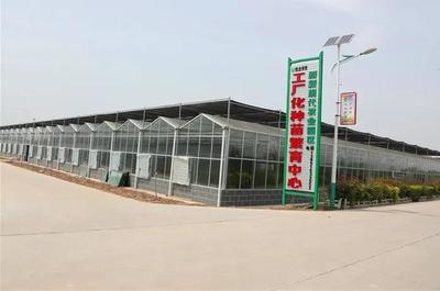 「亮點」陜西大荔:&ldquo;四大行動&rdquo;推進基層黨建提質(zhì)增效