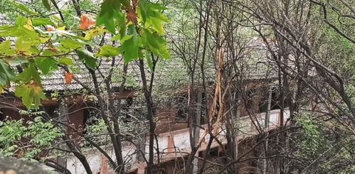 陜西三線廠 曾生產(chǎn)單一的軍品,如今逐漸沒落被荒廢